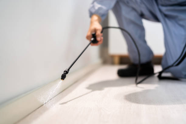 Certified termite inspector examining foundation in Johnston City