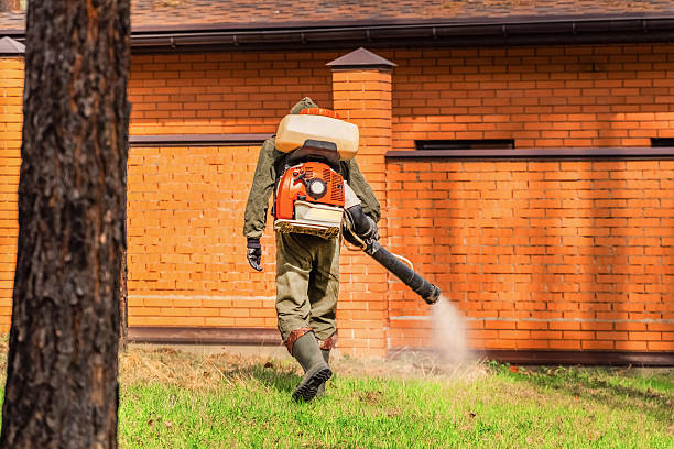 Top rated local Wasp Removal specialists in Johnston City, IL